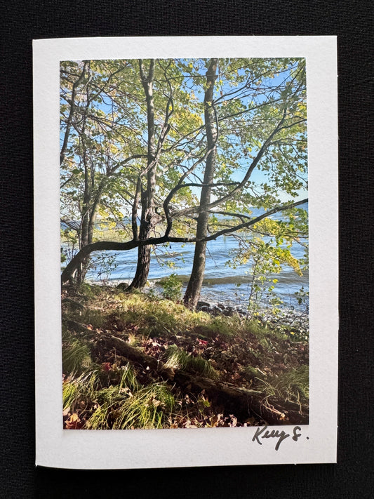 Father Hennepin State Park - Greeting Card