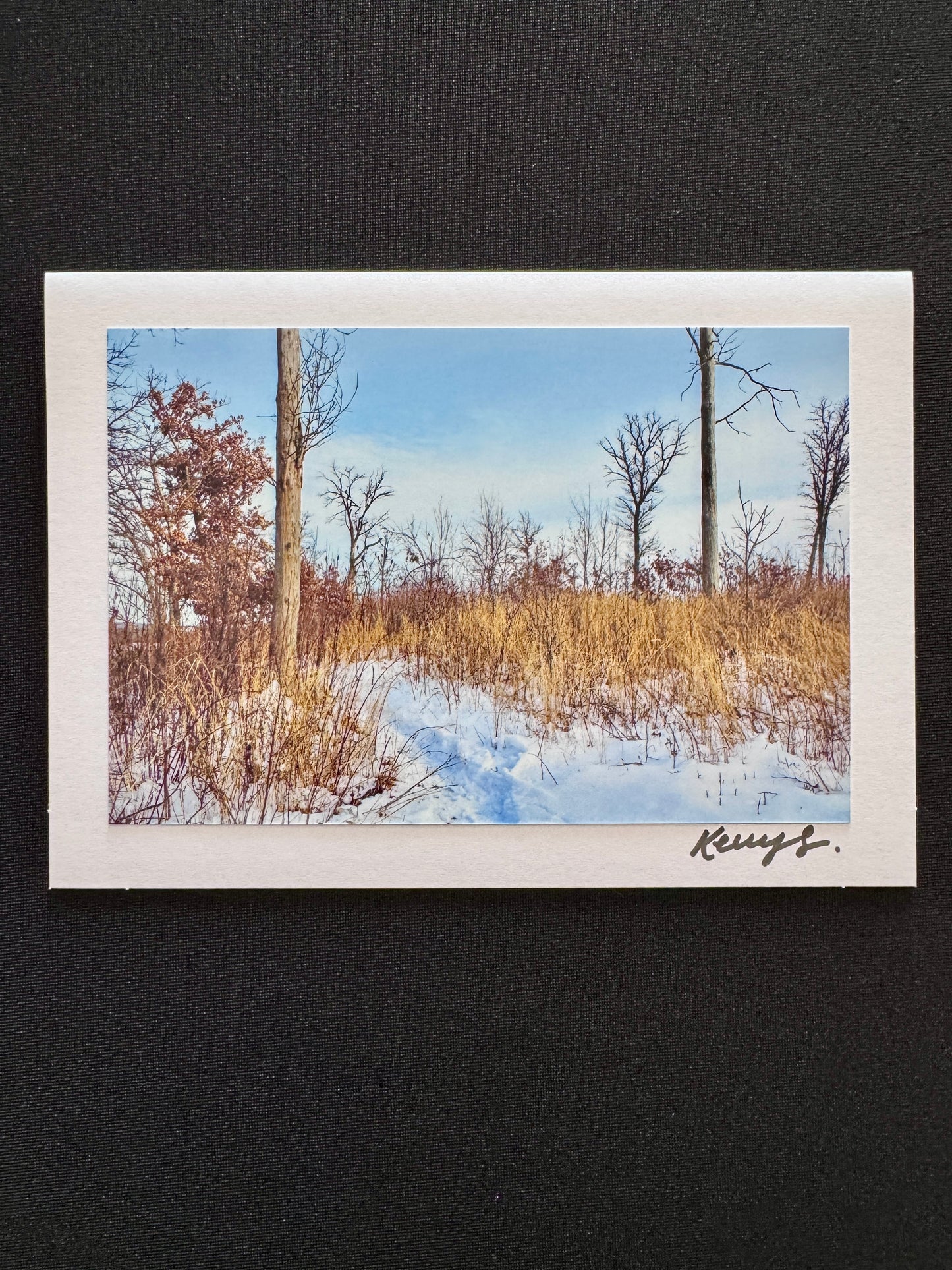 The Shape of Stillness - Greeting Card