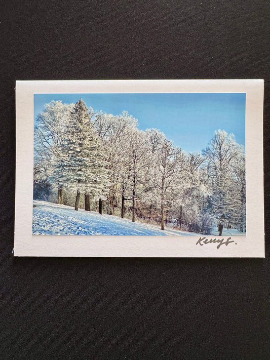 Silent Woods - Greeting Card