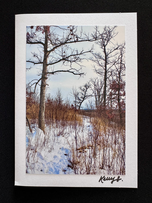 Bare Solitude - Greeting Card