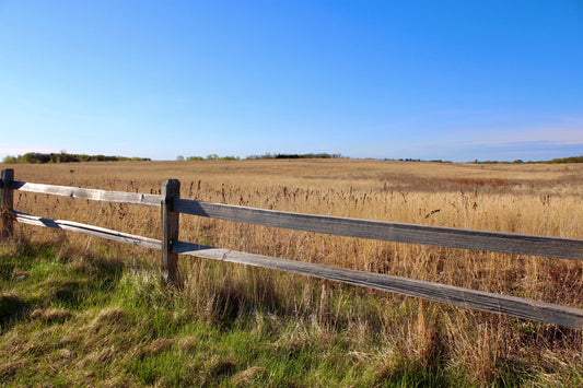 No Fences