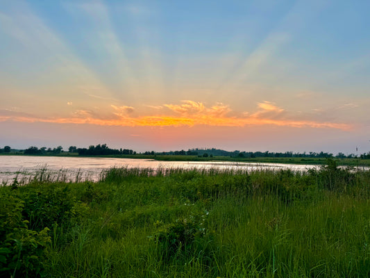 Epic Rays