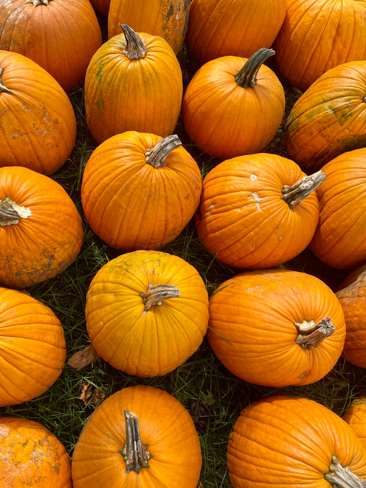 It's The Great Pumpkin