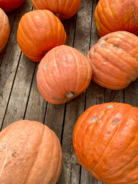 Pumpkins