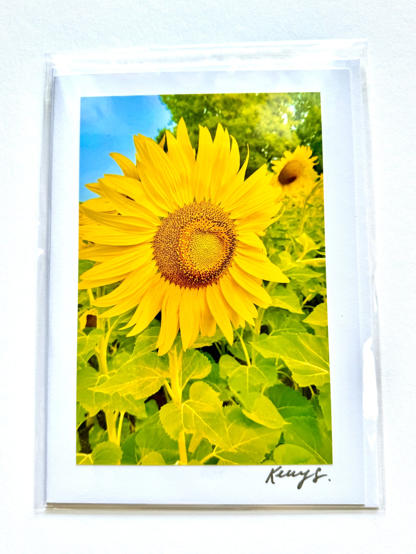 Standing Tall - Greeting Card