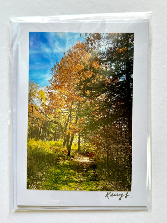 Fall at Bridgeview Park - Greeting Card