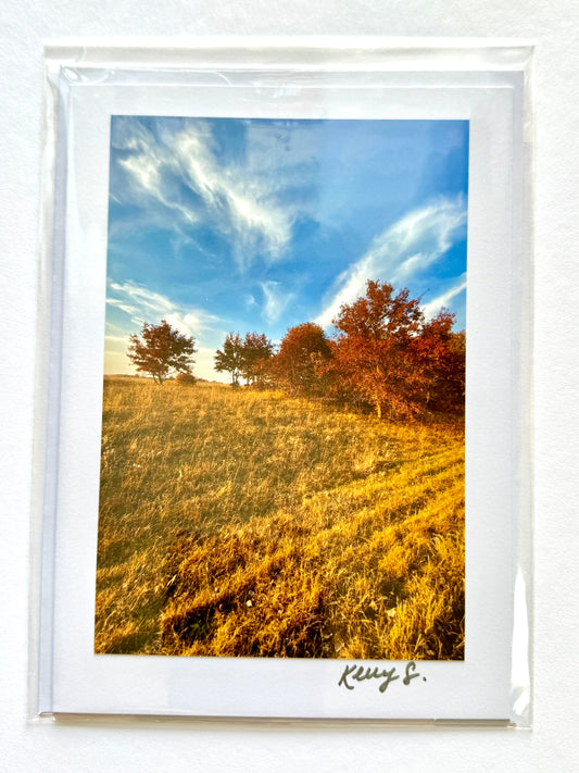 Fall in the Refuge - Greeting Card