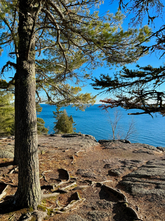 Tettegouche
