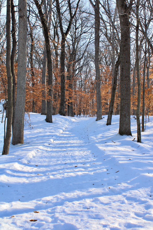 Lake Maria State Park