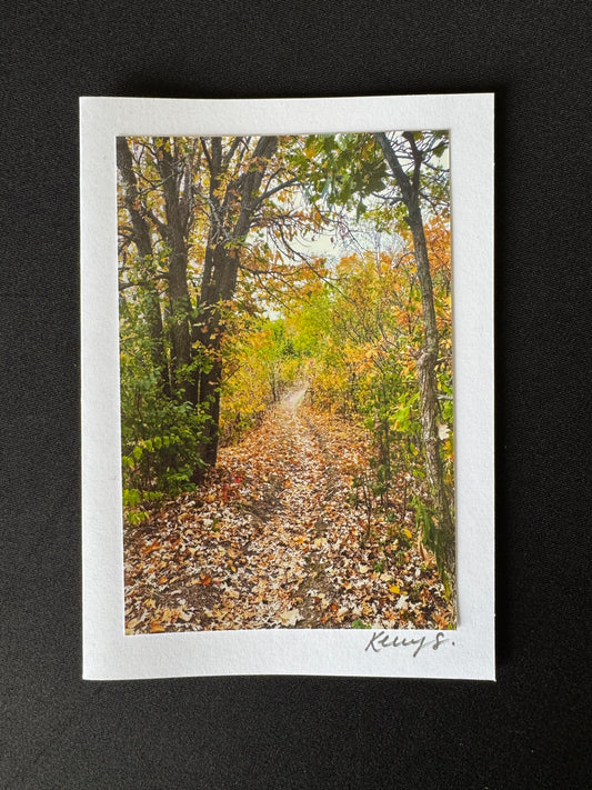 Beaver Island Trail - Greeting Card