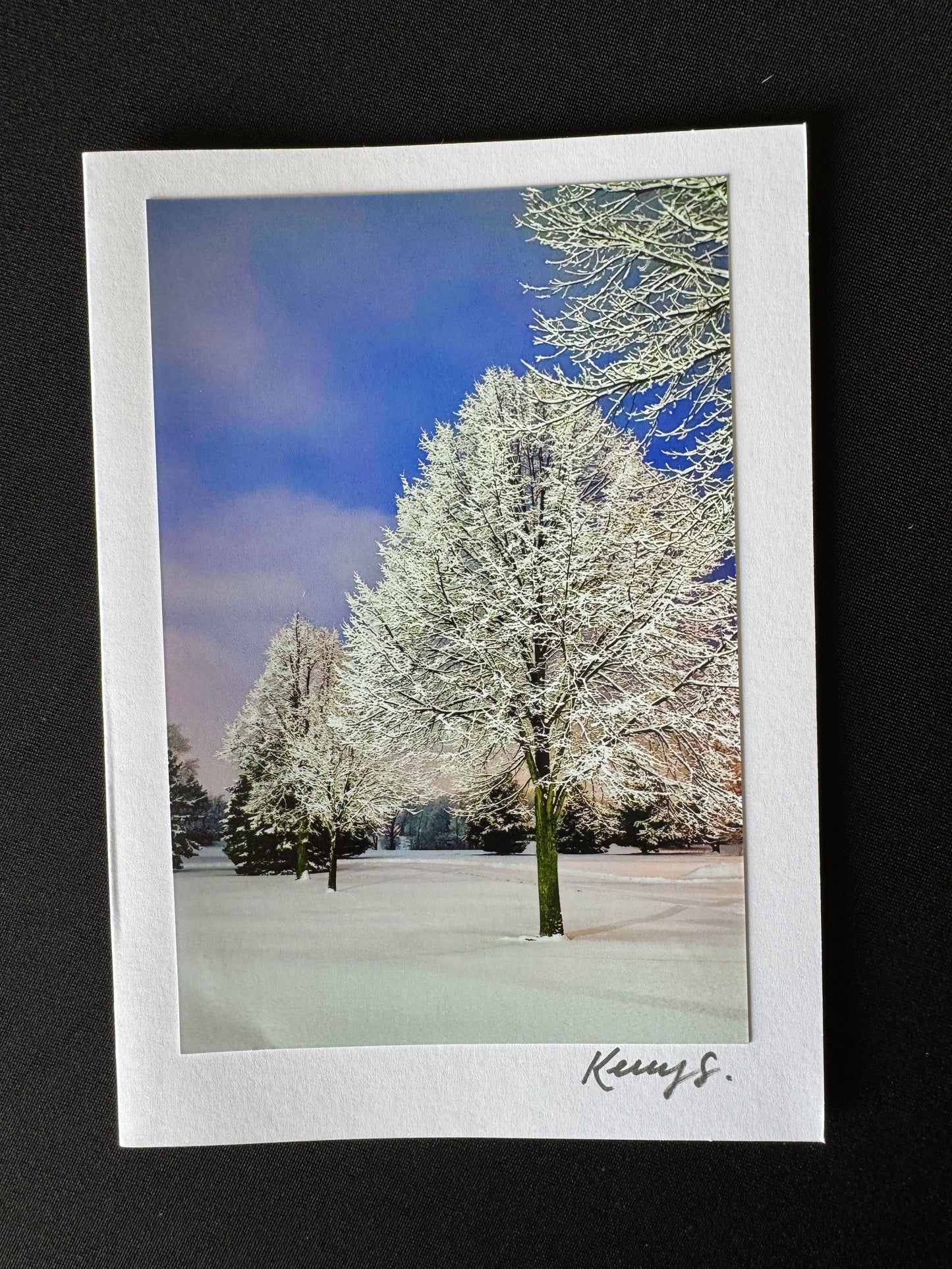 That Snow - Greeting Card