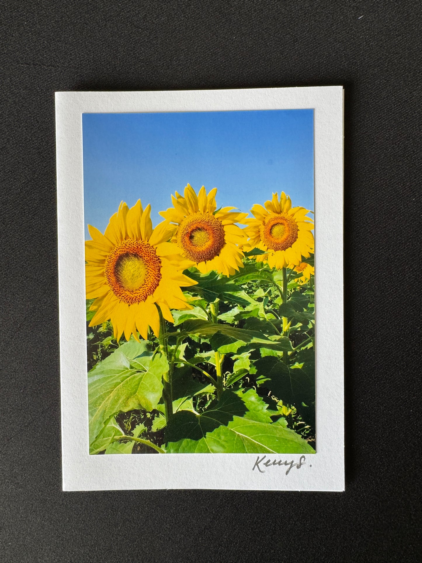 Sunny Days - Greeting Card