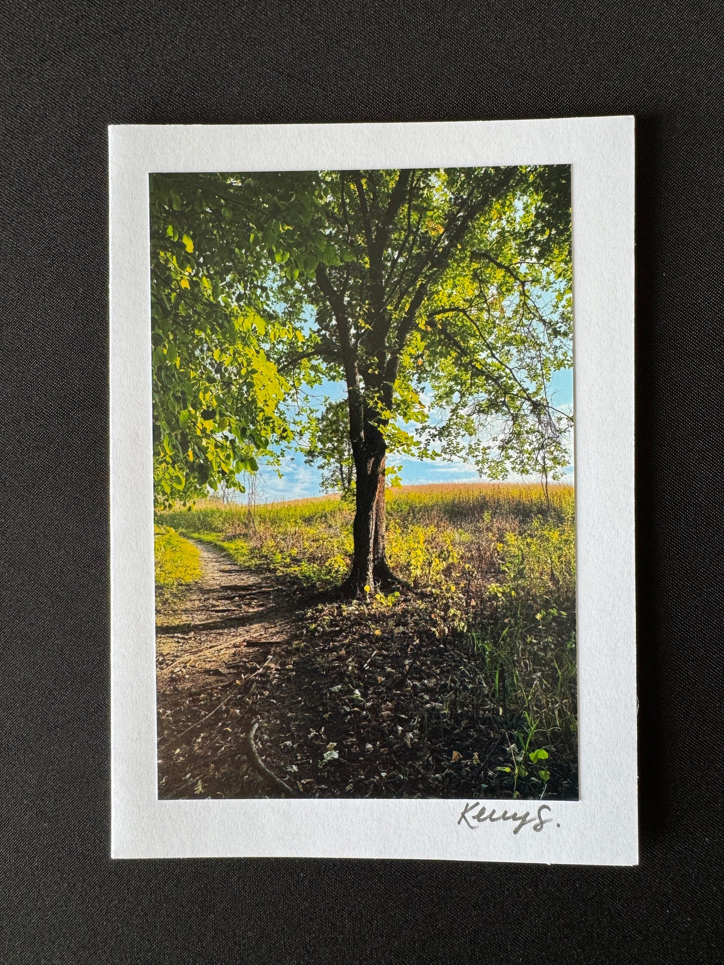 Glacial Lakes State Park - Greeting Card