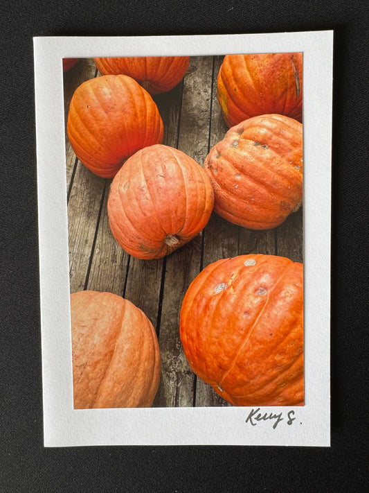 Pumpkins - Greeting Card