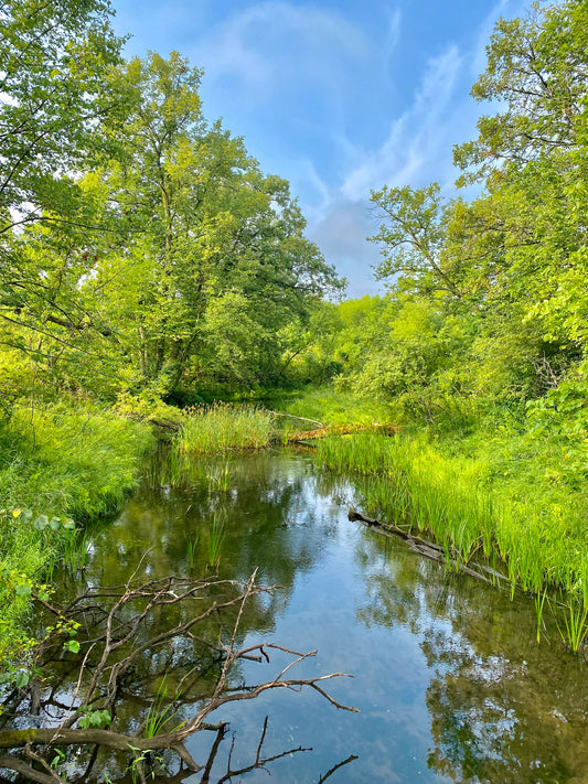 Lush Green