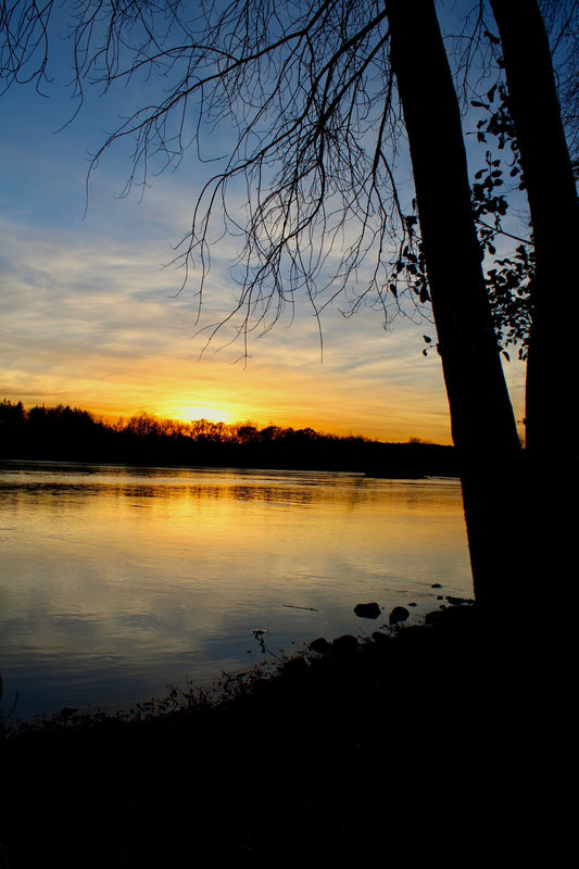 Sunset at Snuffy's