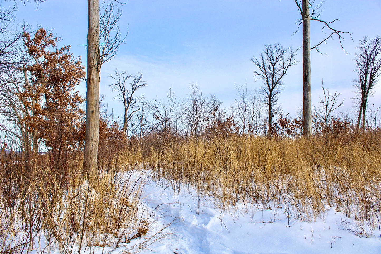 The Shape of Stillness
