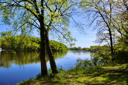 Mississippi Views