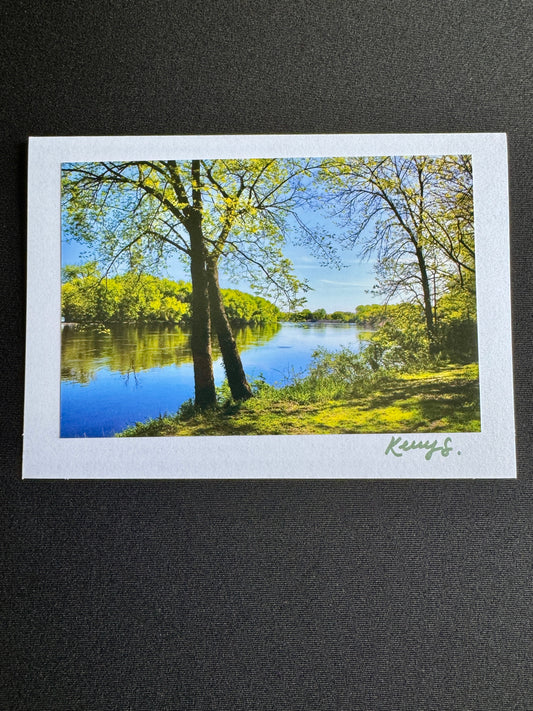 Mississippi Views - Greeting Card