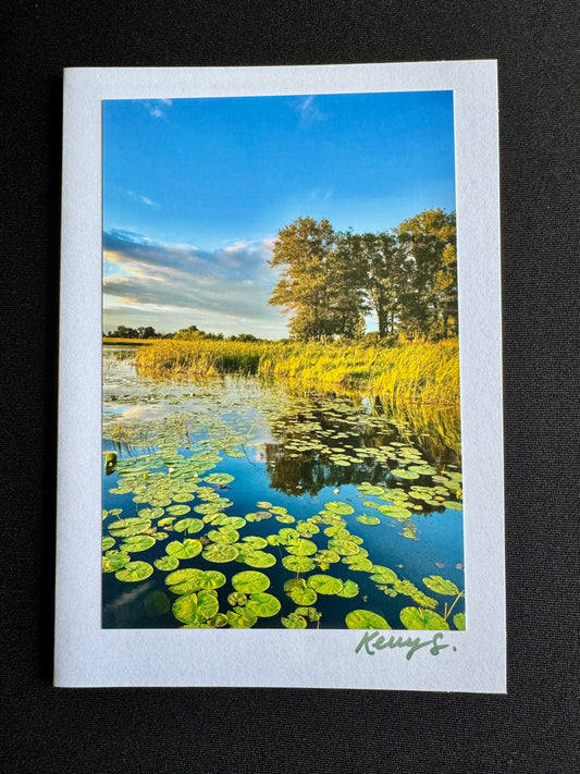 Lily Pads - Greeting Card