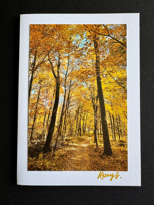 Golden Treetops - Greeting Card