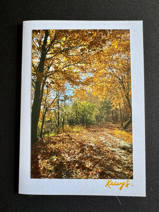 Golden Shimmer - Greeting Card