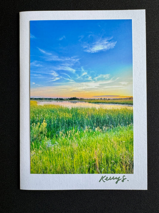 Summer Nights - Greeting Card