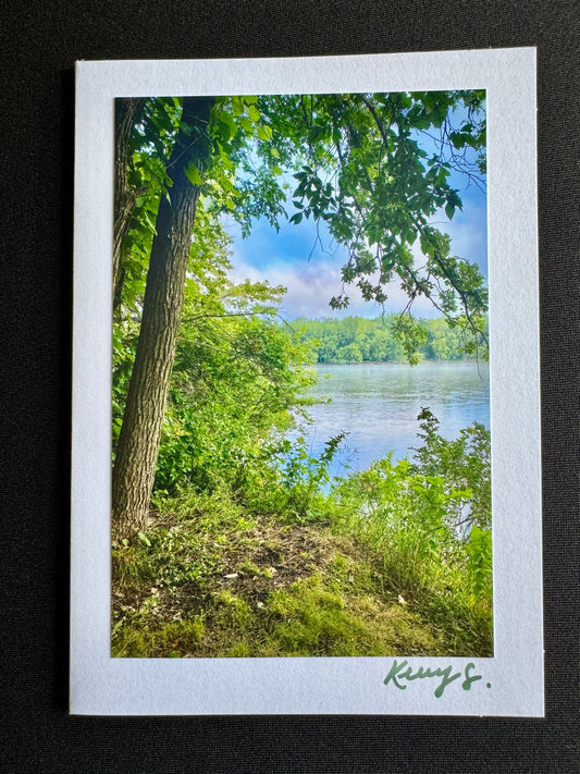 Just a Peak - Greeting Card