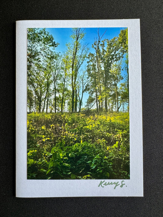Cool Morning Views - Greeting Card