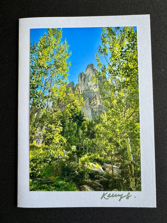 Framed Spires - Greeting Card