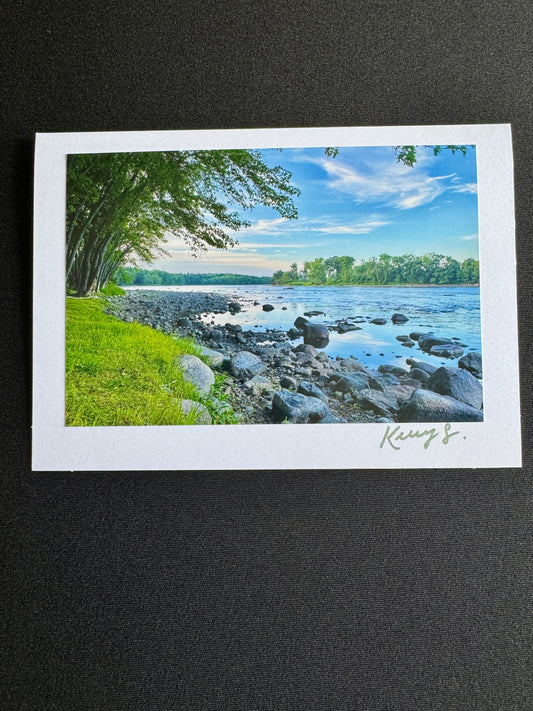 Snuffys on the 4th of July - Greeting Card