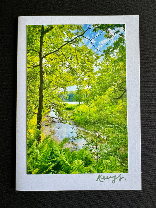 Ferns - Greeting Card