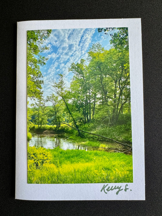 Wild River State Park - Greeting Card