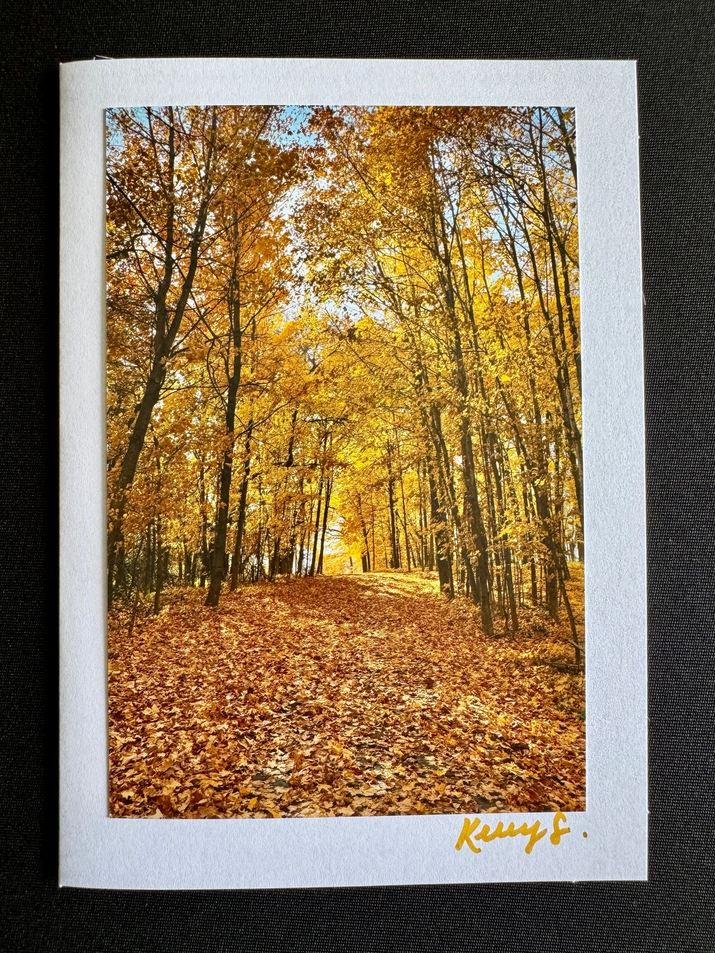 Golden Afternoon - Greeting Card