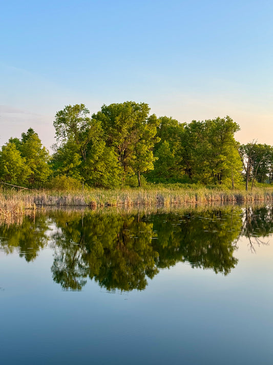 Quiet Reflections