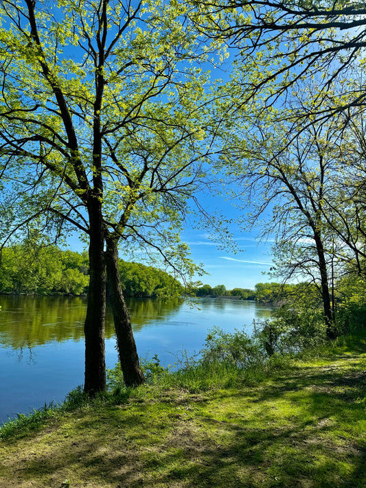 Greens & Blues
