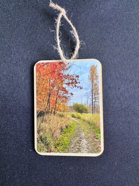 Lake Carlos State Park - Wooden Ornament