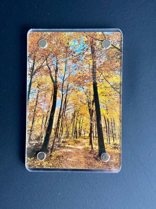 Golden Treetops - Magnet