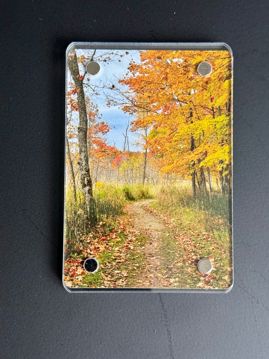 Autumn Delight - Magnet