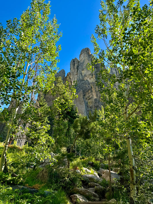 Framed Spires
