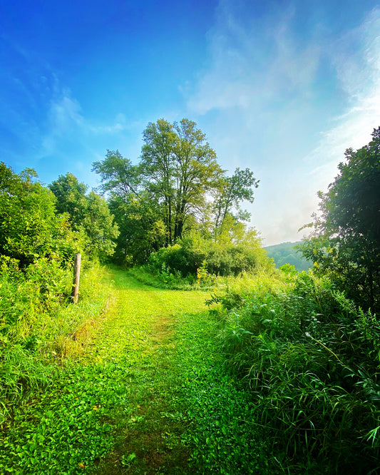 Two Paths Ahead